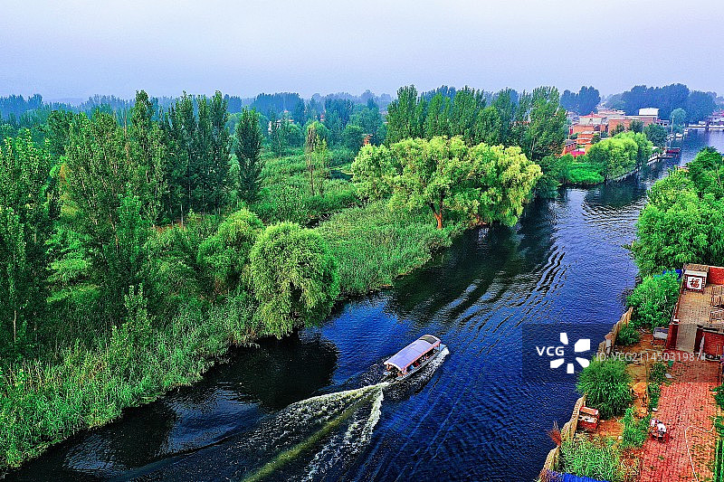 水天一色雾茫茫 金秋鸟语芦苇荡 白鹭起飞水花溅 人间天堂美淀乡 （华北明珠白洋淀）图片素材