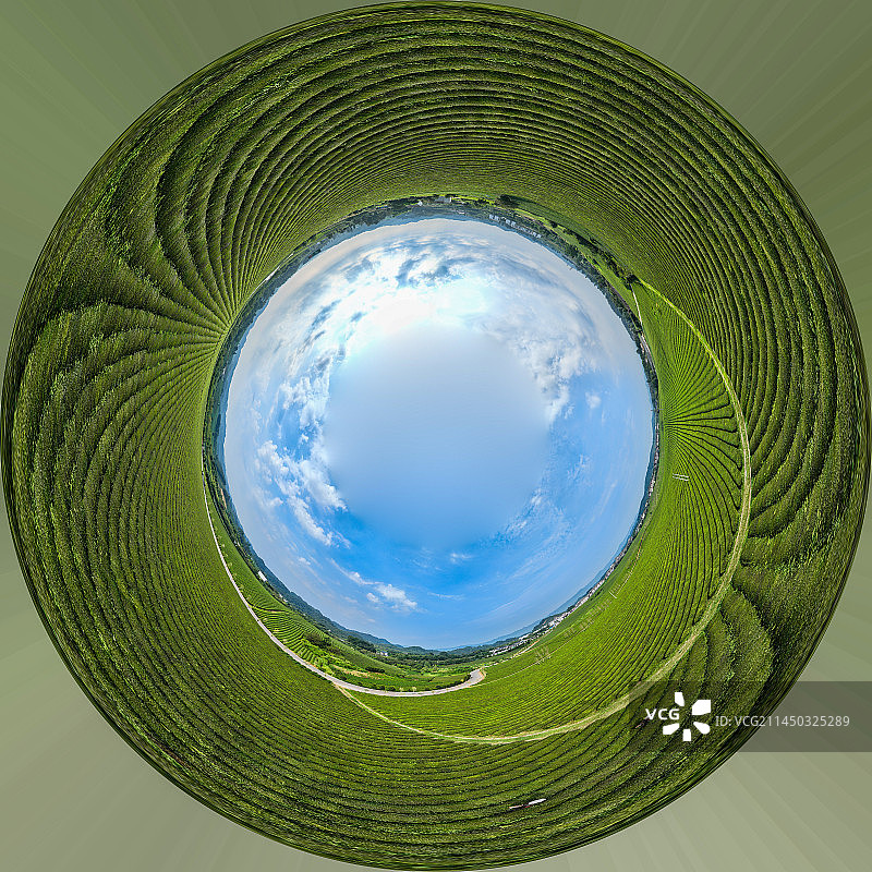 贵州省遵义市湄潭县永兴镇万亩茶海风光图片素材