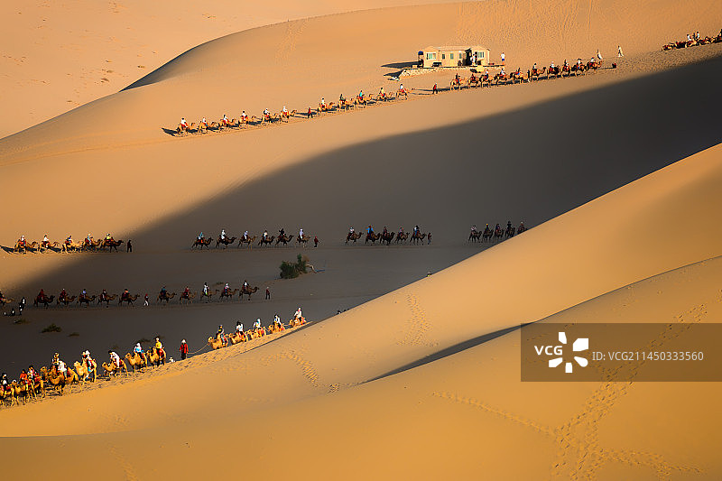 驼队图片素材