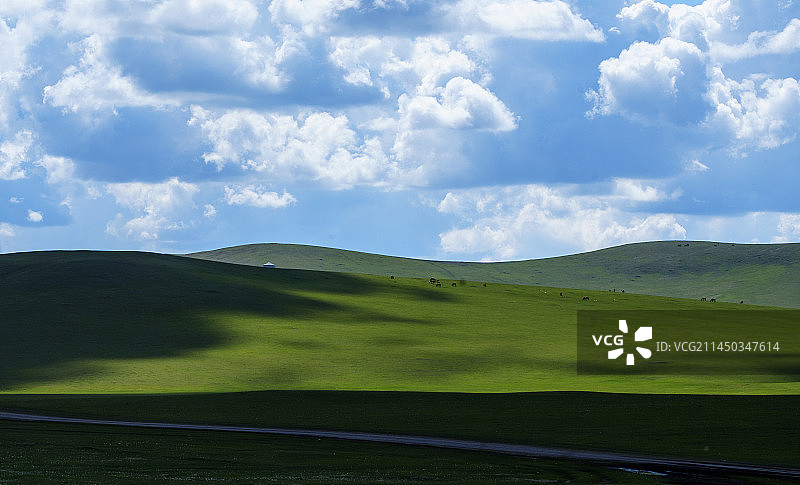夏季呼伦贝尔草原美景图片素材