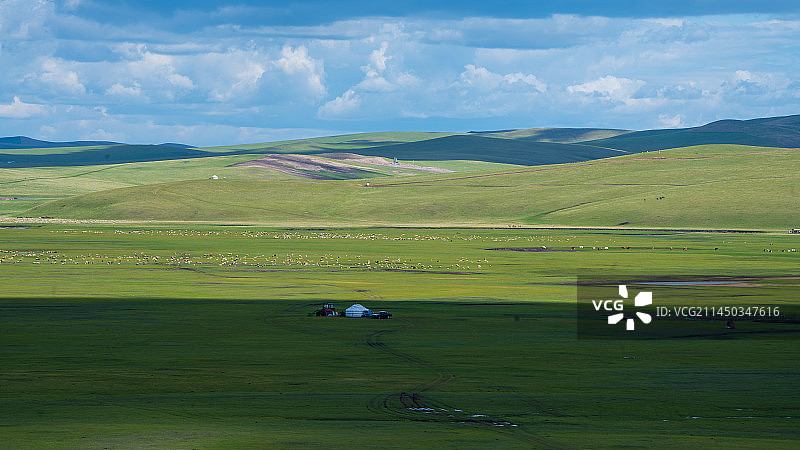 夏季呼伦贝尔草原美景图片素材