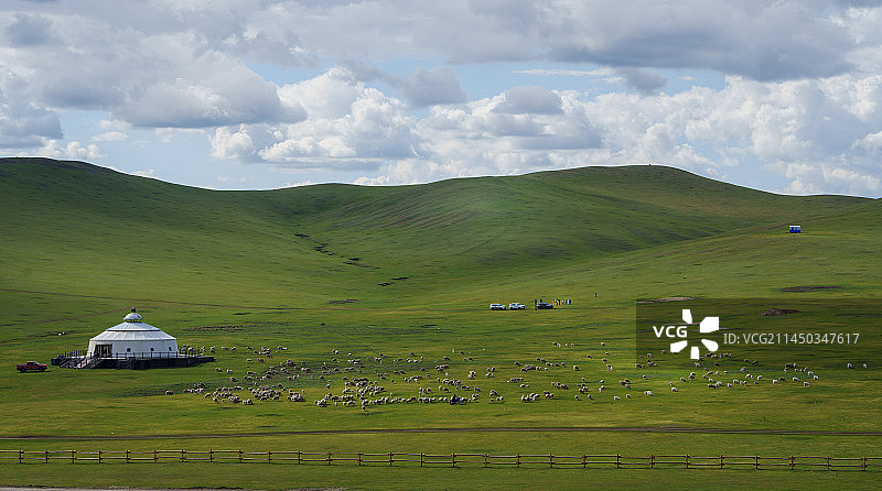 夏季呼伦贝尔草原美景图片素材