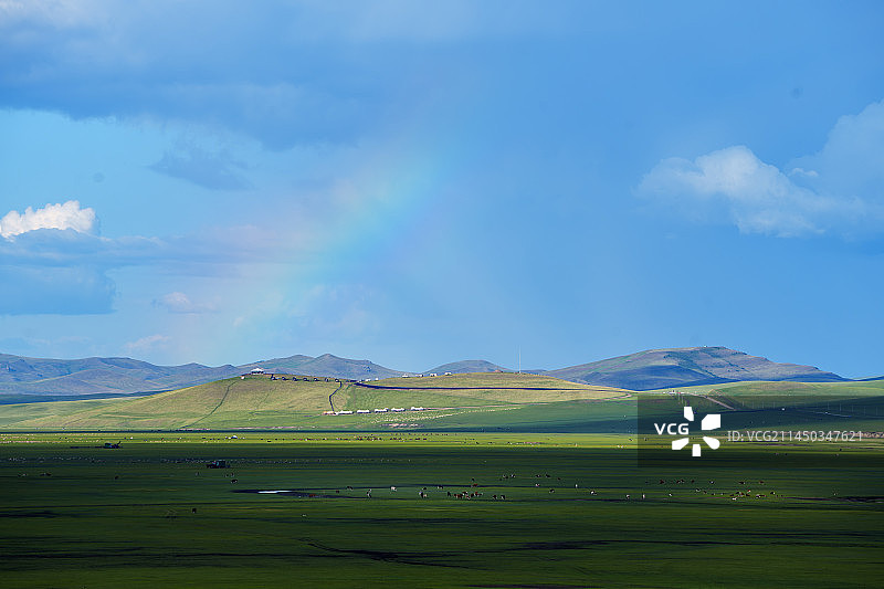 夏季呼伦贝尔草原美景图片素材