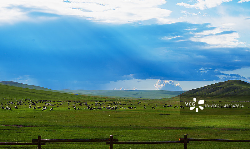 夏季呼伦贝尔草原美景图片素材