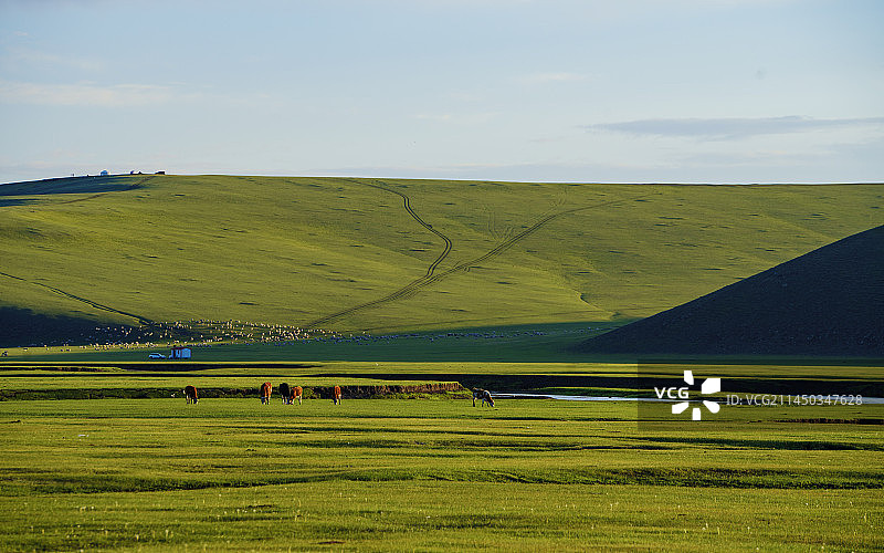 夏季呼伦贝尔草原美景图片素材
