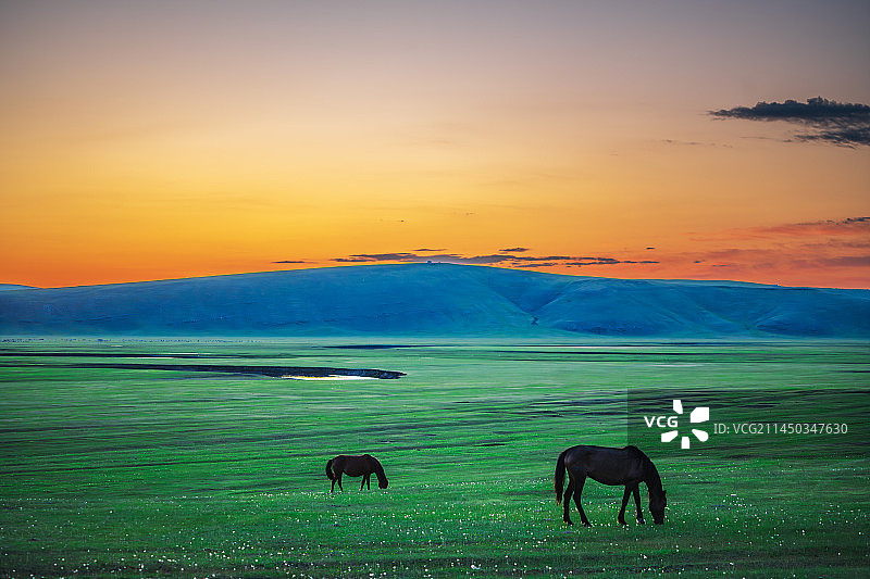 夏季呼伦贝尔草原美景图片素材