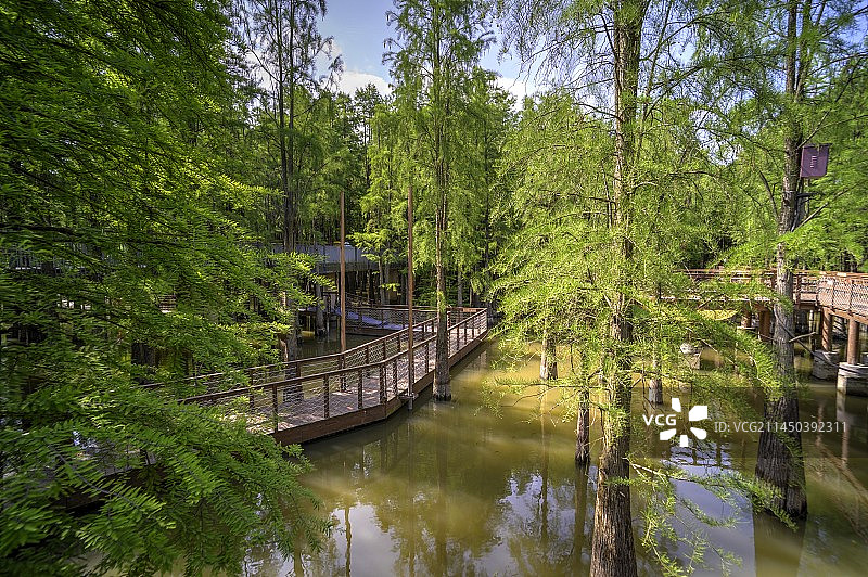 浙江杭州临安青山湖水上游步道图片素材