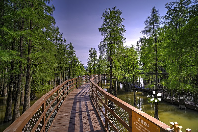 浙江杭州临安青山湖水上游步道图片素材
