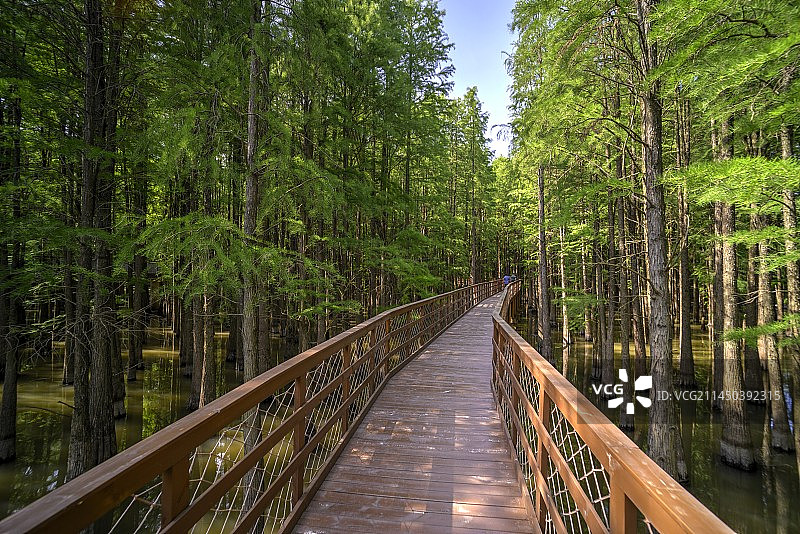 浙江杭州临安青山湖水上游步道图片素材