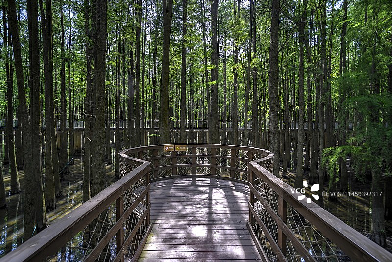 浙江杭州临安青山湖水上游步道图片素材