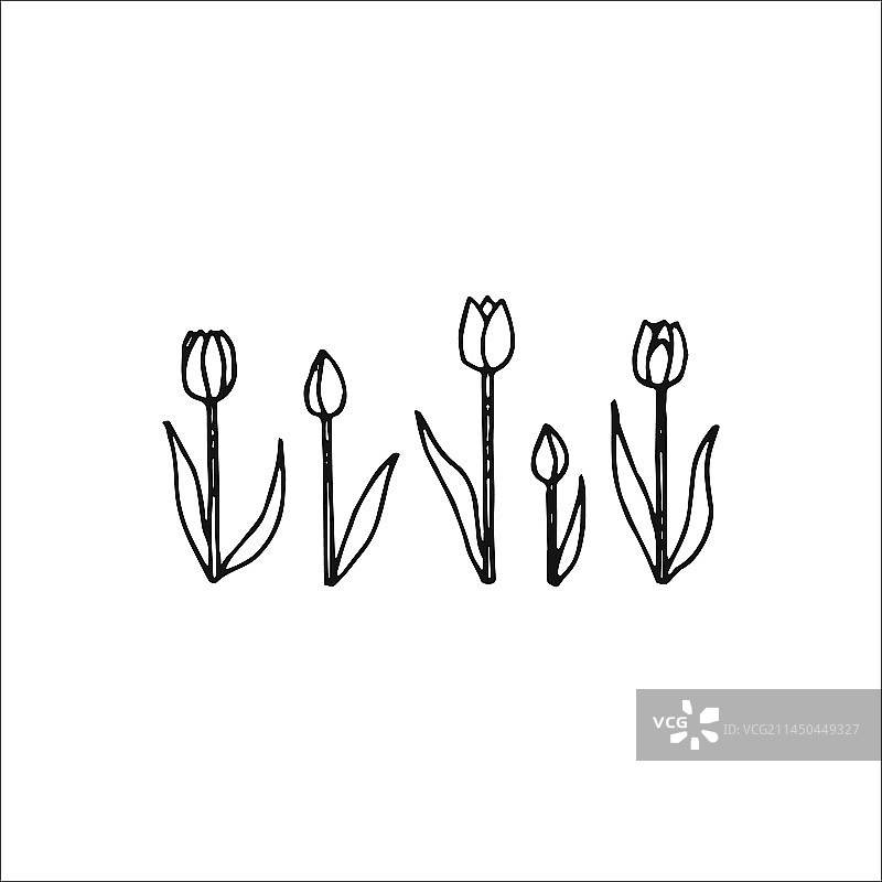 手绘婚礼设计元素剪贴画图片素材