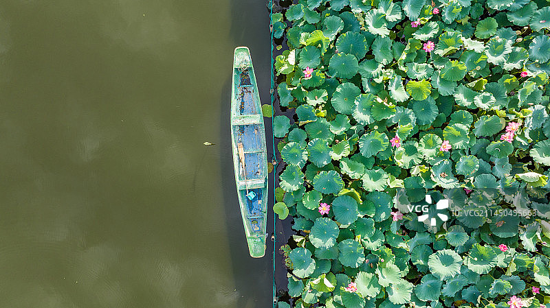 航拍夏天西湖荷花小船图片素材