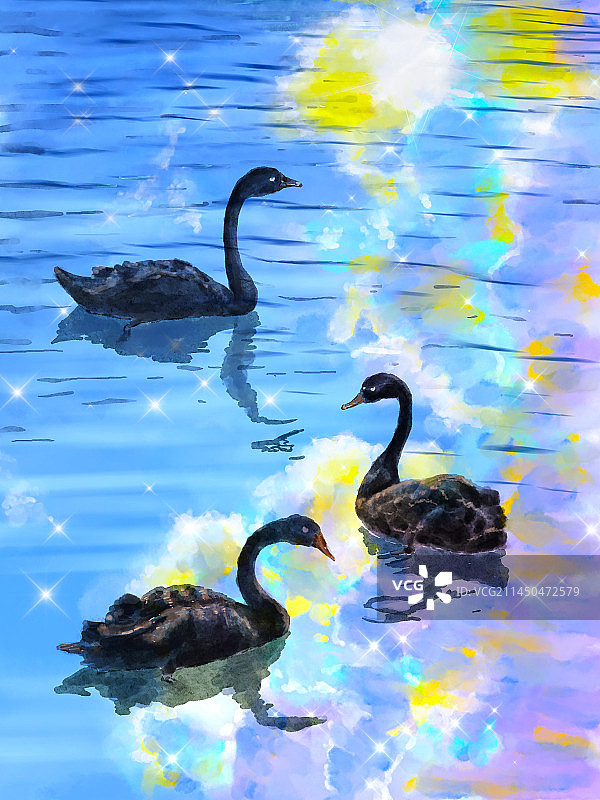 湖面黑天鹅波光粼粼手绘插画图片素材