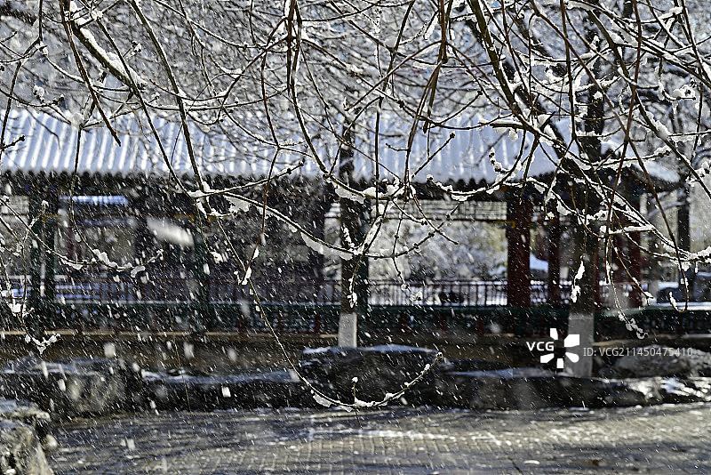 天津北宁公园雪景图片素材