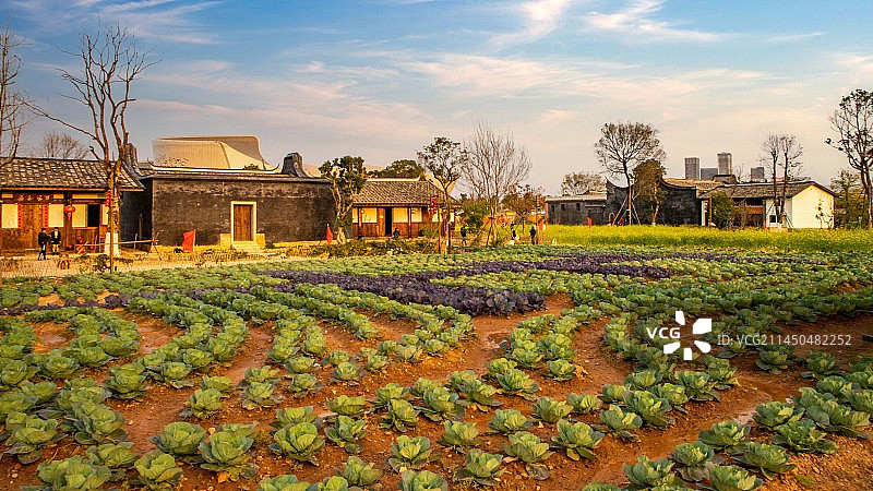 田园古村图片素材