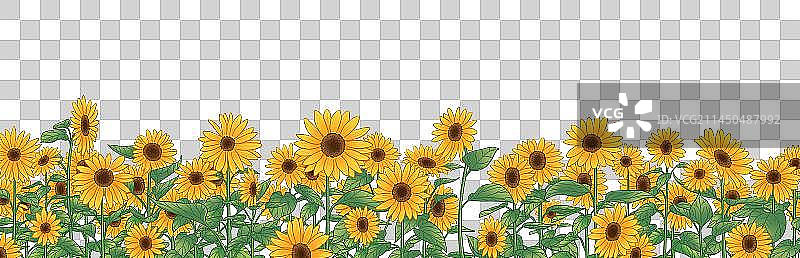手绘向日葵花丛花海背景插画边框图片素材