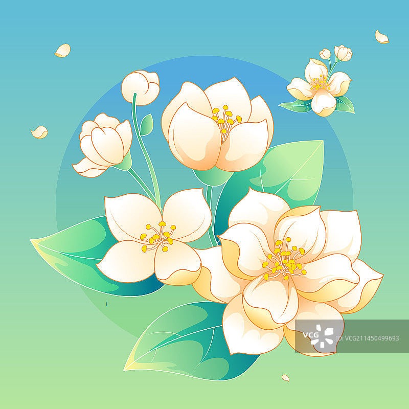 国风矢量茉莉花插画图片素材