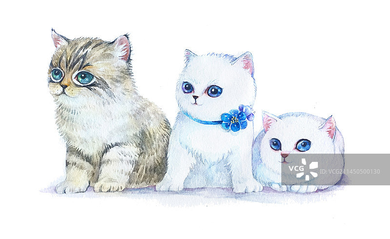 三只小猫图片素材