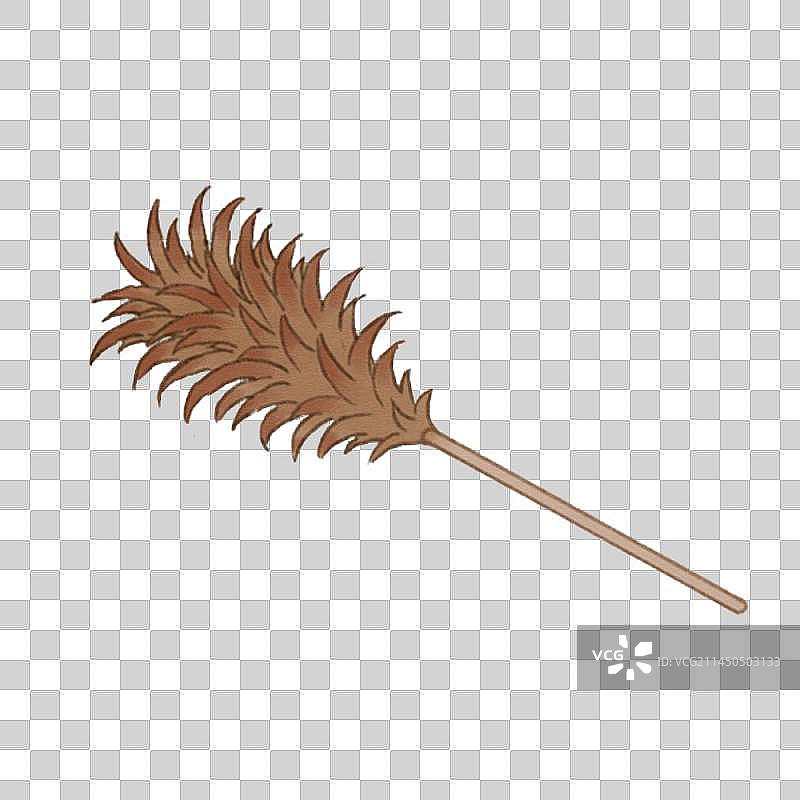 鸡毛掸子图片素材