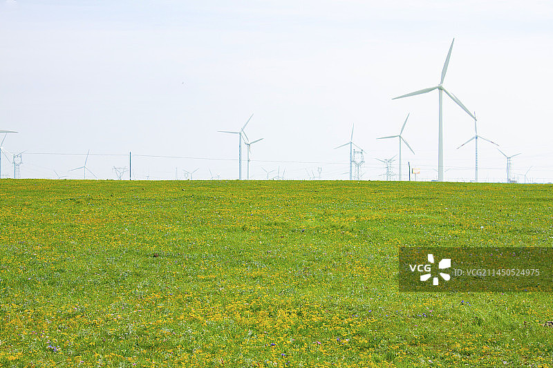内蒙古辉腾锡勒草原风光图片素材