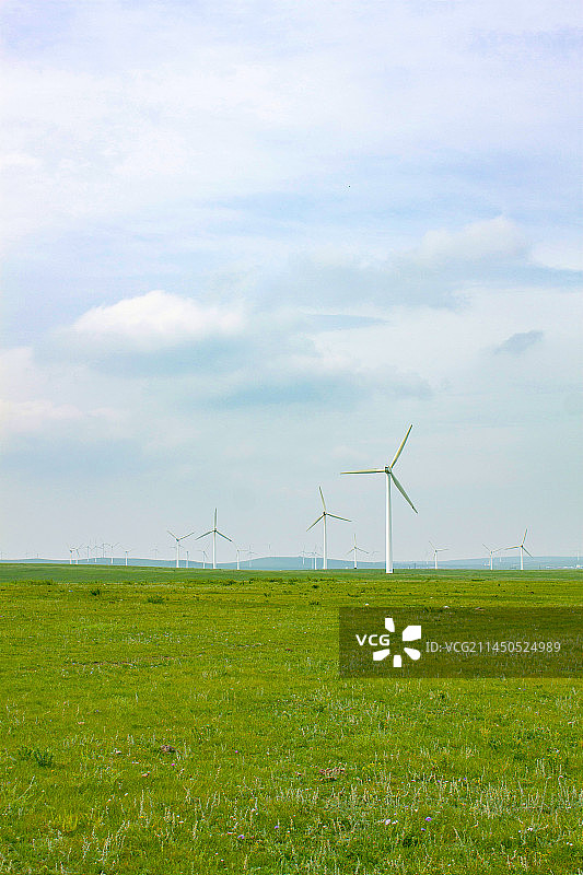 内蒙古辉腾锡勒草原风光图片素材