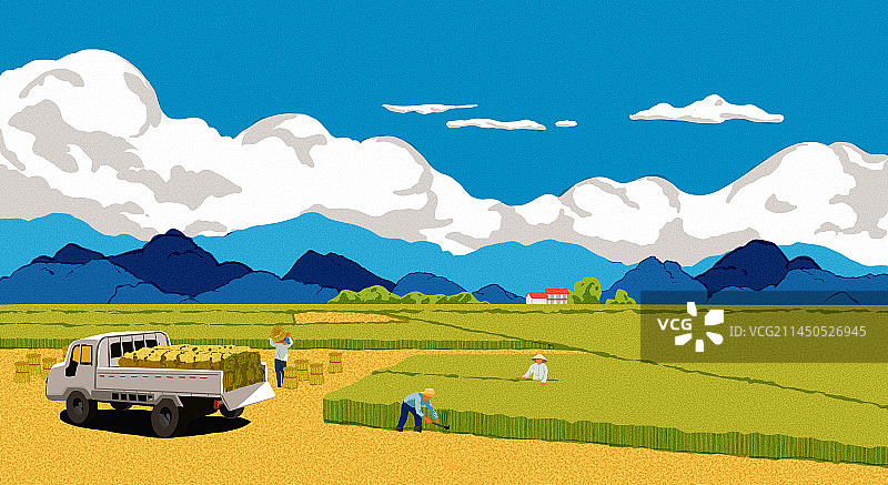 稻田收割图片素材