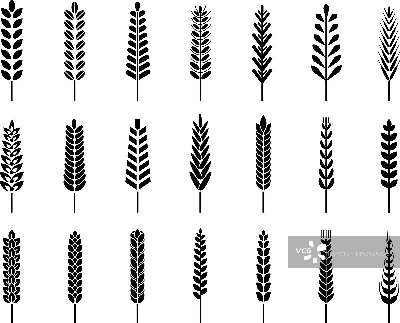 黑色小麦剪影图标，大麦黑麦图片素材