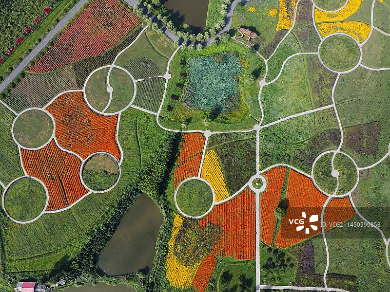 六鼎山景区花海图片素材