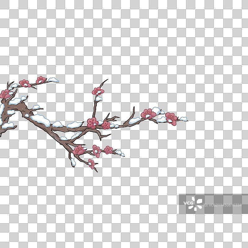 冬天的梅花图片素材