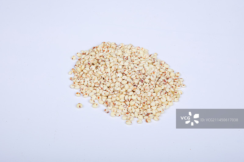 健康营养的白高粱图片素材