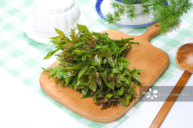 中药材刺五加图片素材