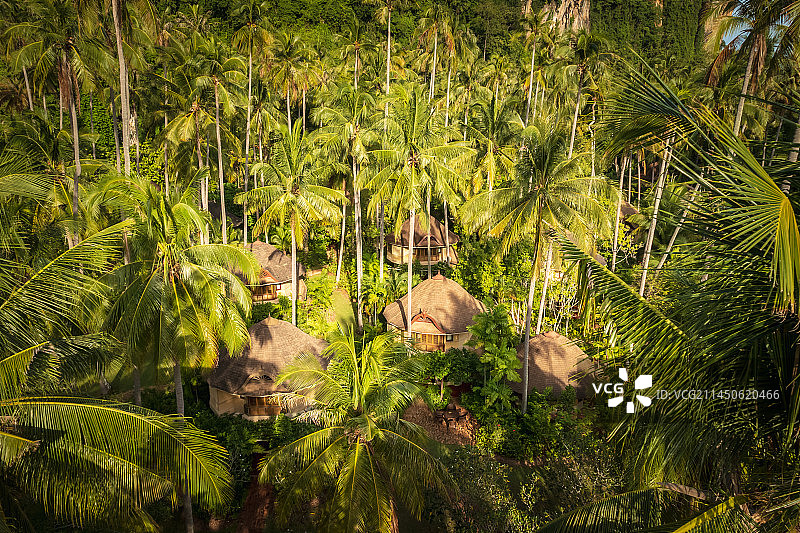 泰国甲米莱雷海滩Railay热带岛屿棕榈树森林度假木屋自然风光航拍图片素材