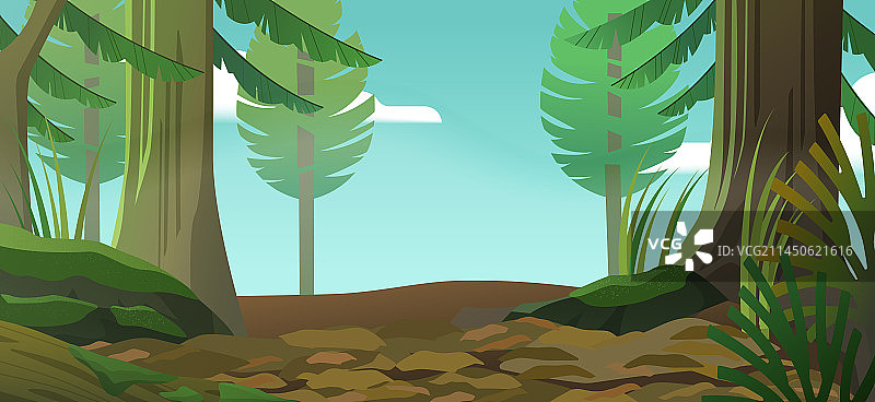 宁静松树林与泥泞小径 自然景观背景图片素材