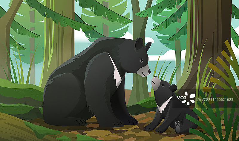 森林里温馨互动的黑熊妈妈与幼崽图片素材