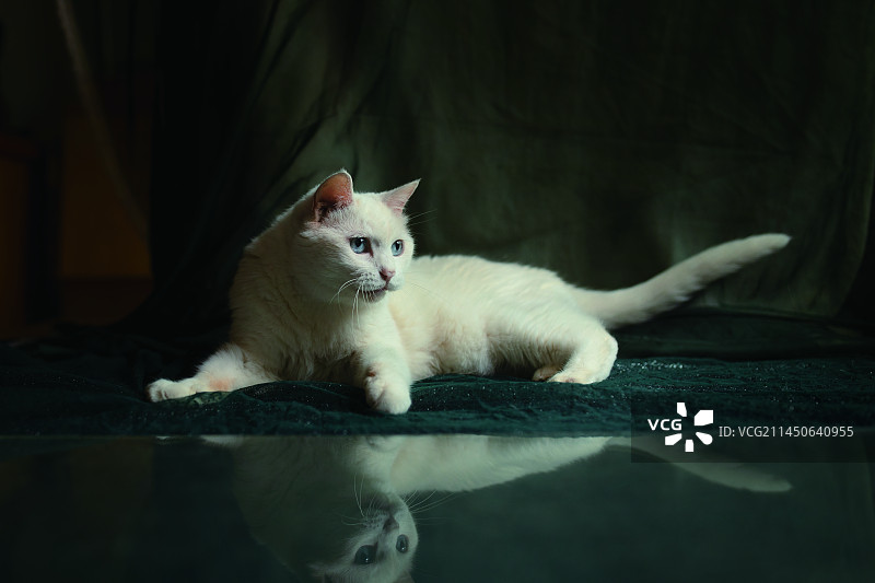 准备起飞图片素材