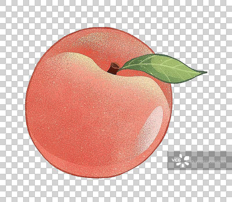 桃子秋桃元素图片素材