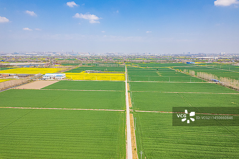 航拍鸟瞰江苏南通乡村振兴高标准农田麦苗油菜丰收在望美景图片素材