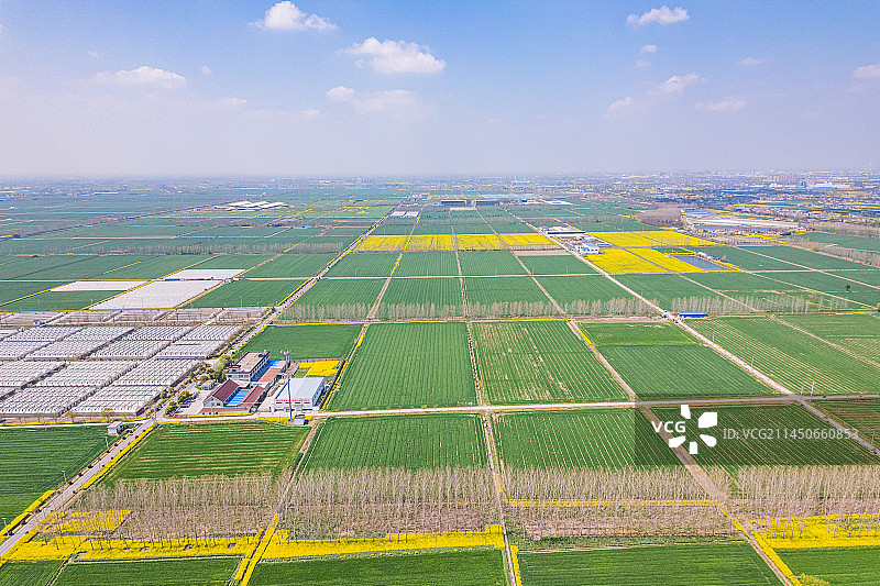 航拍鸟瞰江苏南通乡村振兴高标准农田麦苗油菜丰收在望美景图片素材