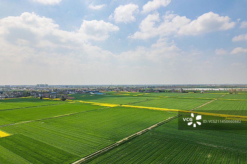 航拍鸟瞰江苏南通乡村振兴高标准农田麦苗油菜丰收在望美景图片素材