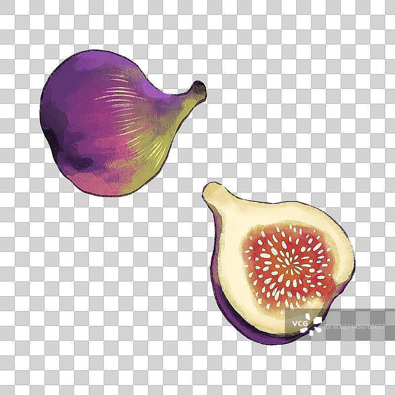 无花果元素图片素材