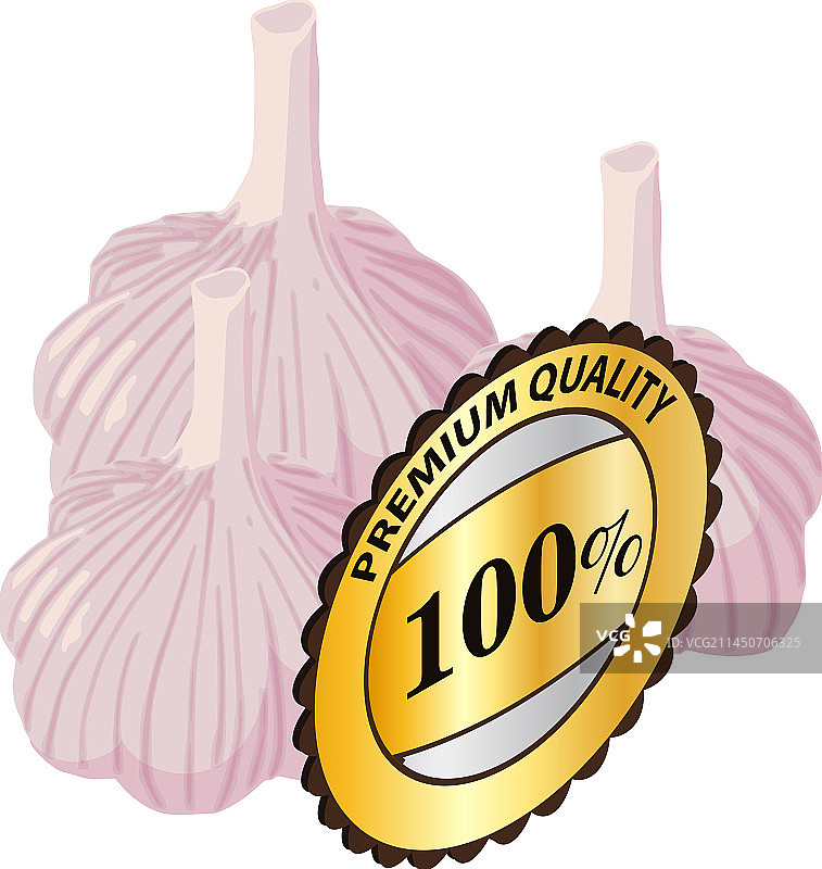 有机大蒜2.5D图标图片素材