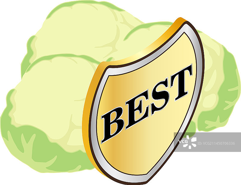 有机花椰菜图标2.5D新鲜图片素材