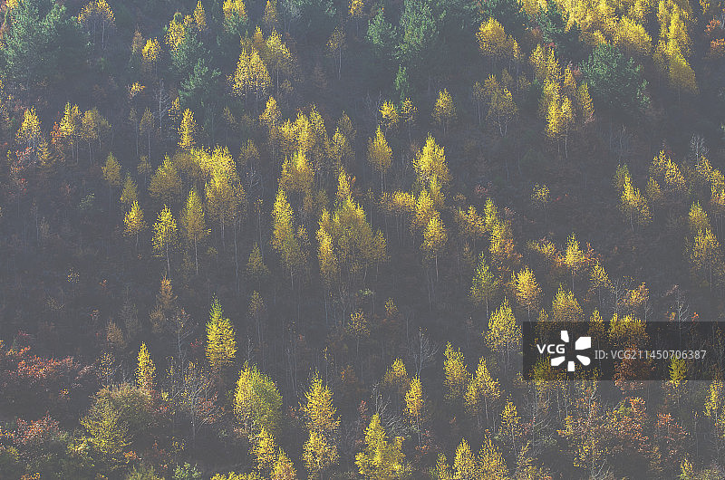 冶力关的秋天图片素材