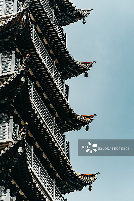 真如寺和鸽子图片素材