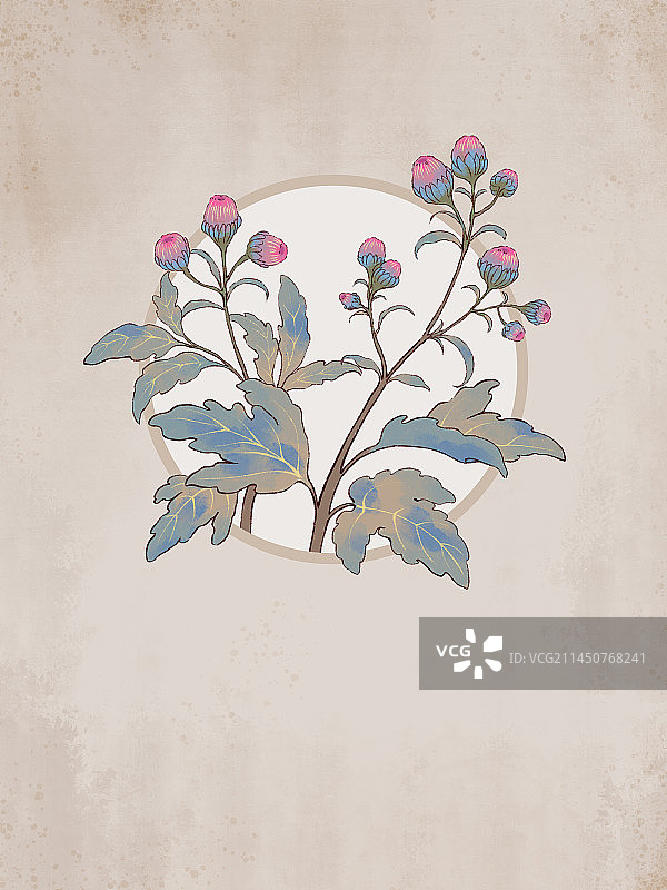 手绘水彩植物草本花卉金龙胆草插图图片素材