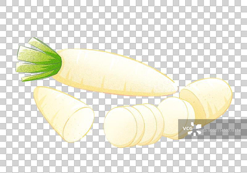 白萝卜图片素材