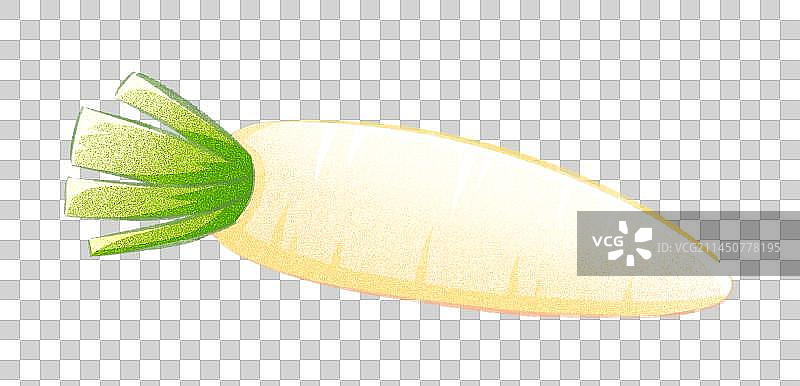 白萝卜图片素材