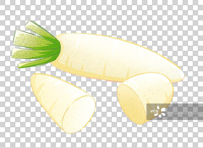 白萝卜图片素材