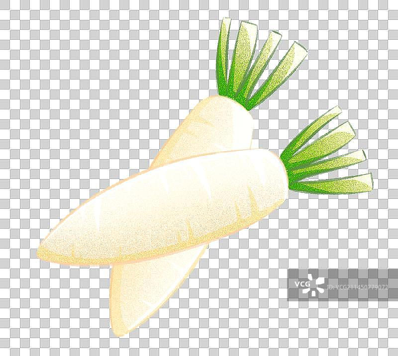 白萝卜图片素材