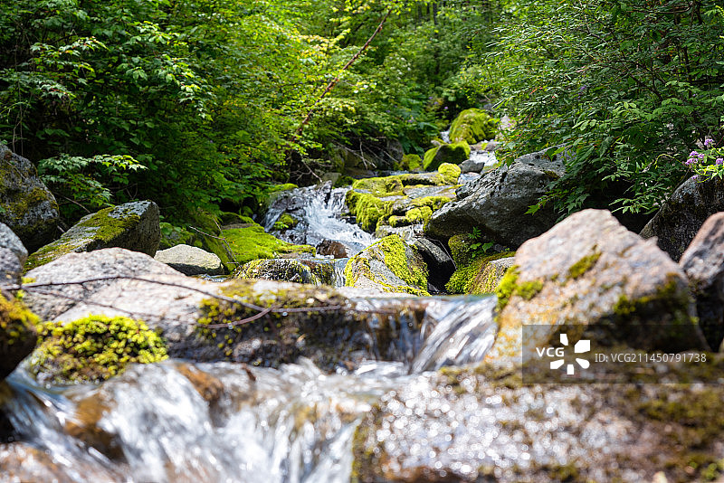 陕西省西安市秦岭东梁小溪流水图片素材
